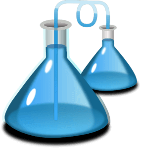 SEO test