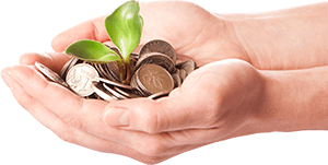 Investering i SEO skaber vækst fremadrettet